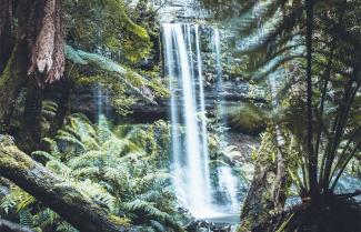 Mount Field National Park Waterfalls