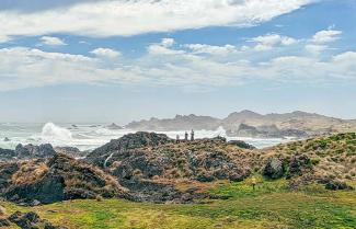 Tarkine Coast