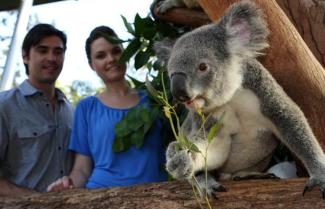 Taronga Zoo
