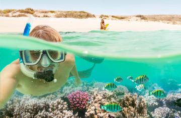 Ningaloo Reef