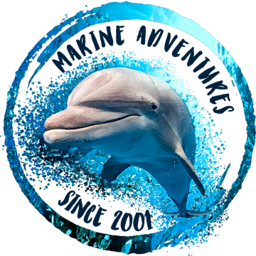 Australian Marine Tours