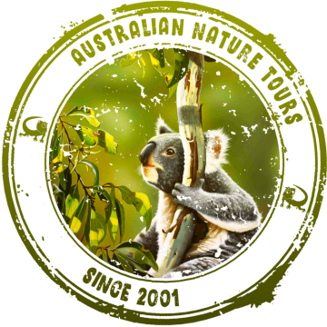 Australian Sight Seeing Tours
