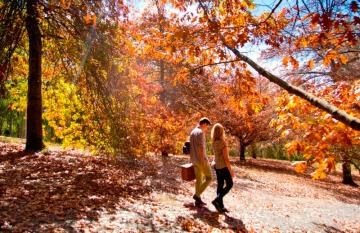 Autumn in the land Downunder