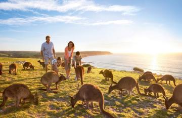 Kangaroo's