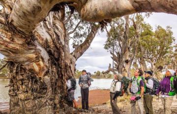Hiking Australia