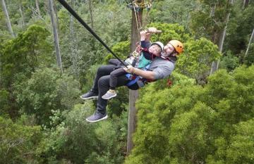 Hollybank Tree Adventures Launceston