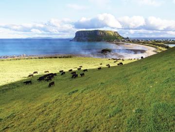 Tasmanian Agriculutre