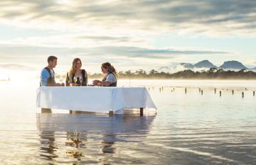 Oysters in Tasmania
