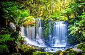 Tasmania Mt Field National Park
