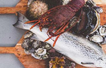 Tasmania's seafood bounty