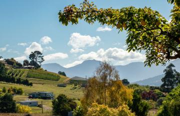 Huon Valley Wine