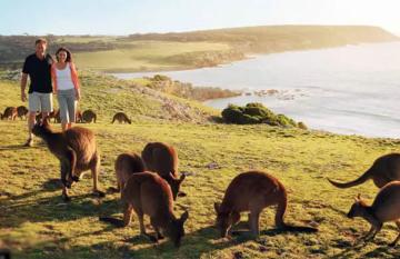 Kangaroo Island Honeymoon