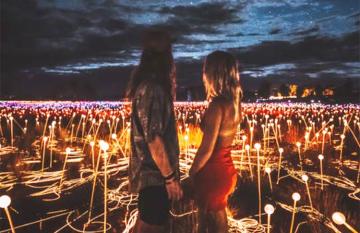 Romance in a Field of Light