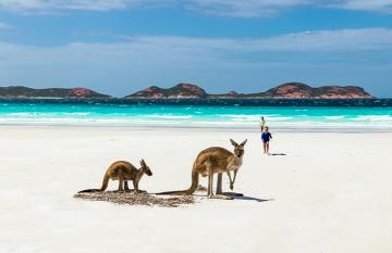 Photo by <a href="https://unsplash.com/@wanderlustralia?utm_content=creditCopyText&utm_medium=referral&utm_source=unsplash">Nick Dunn</a> on <a href="https://unsplash.com/photos/brown-deer-on-white-sand-beach-during-daytime-OzUJa5Q9m1g?utm_content=creditCopyText&utm_medium=referral&utm_source=unsplash">Unsplash</a> 