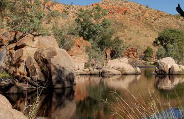 hiking the Larapinta Trail